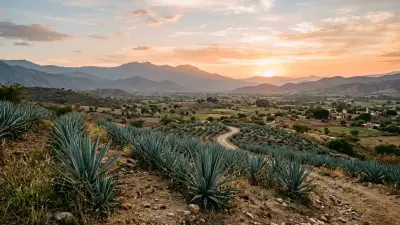Yucatan or Oaxaca: Which Destination Fits Your Travel Style?