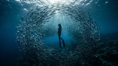 Dive Deep for Less: Your Guide to Budget Diving in the Visayas, Philippines