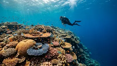Dive into Paradise: Your Great Barrier Reef Snorkeling and Diving Guide