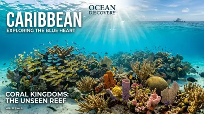Dive into Paradise: Your Ultimate Caribbean Snorkeling & Scuba Guide