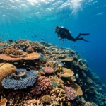 Hike the Inca Trail: Expert Tips